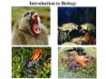 Introduction to Biology