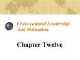 Crosscultural Leadership And Motivation