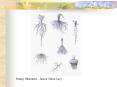 Botany Illustrated Janice Glimn Lacy