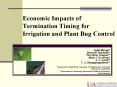 Economic Impacts of Termination Timing for Irrigation and Plant Bug Control