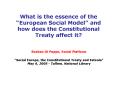 What is the essence of the European Social Model and how does the Constitutional Treaty affect it