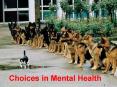 Choices in Mental Health