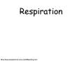 Respiration