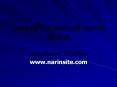 www'narinsite'com