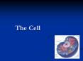 The Cell