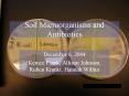 Soil Microorganisms and Antibiotics