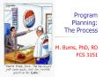 Program Planning: The Process