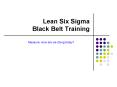 Lean Six Sigma Black Belt Training