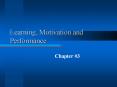 Learning, Motivation and Performance