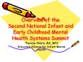 Overview of the Second National Infant and Early Childhood Mental Health Systems Summit