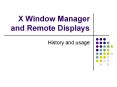 X Window Manager and Remote Displays