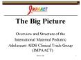 The Big Picture