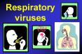 Respiratory viruses