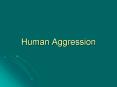 Chapter 6: Human Aggression