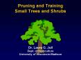 Pruning and Training Small Trees and Shrubs Dr' Laura G' Jull Dept' of Horticulture University of Wi