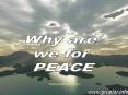 Why are