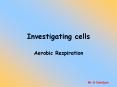 Investigating cells