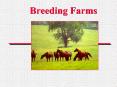 Breeding Farms