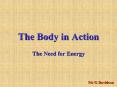 The Body in Action
