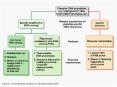 Nucleic Acid Hybridization