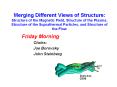 Merging Different Views of Structure: Structure of the Magnetic Field, Structure of the Plasma, Stru