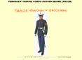 Figure 28' Blue Dress A SNCO Male