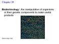 Biotechnology the manipulation of organisms or their genetic components to make useful products