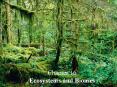 Chapter 16 Ecosystems and Biomes