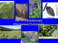 Ch' 6: Evolutionary ProcessesOutcomes