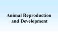 Animal Reproduction