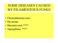 SOME DISEASES CAUSED BY FILAMENTOUS FUNGI