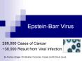 EpsteinBarr Virus