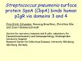 Streptococcus pneumonia surface protein SpsA CbpA binds human pIgR via domains 3 and 4