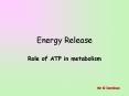 Energy Release