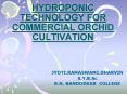 HYDROPONIC TECHNOLOGY FOR COMMERCIAL ORCHID CULTIVATION