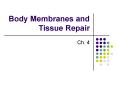Body Membranes and Tissue Repair
