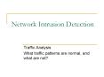 Network Intrusion Detection