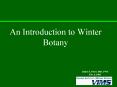 An Introduction to Winter Botany