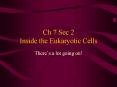 Ch 7 Sec 2 Inside the Eukaryotic Cells