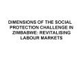 DIMENSIONS OF THE SOCIAL PROTECTION CHALLENGE IN ZIMBABWE: REVITALISING LABOUR MARKETS