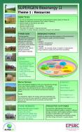 Recycling of Agricultural Waste Materials as Novel Slow Release Fertilier