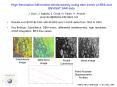 High Resolution Differential Interferometry using time series of ERS and ENVISAT SAR data