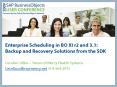 Enterprise Scheduling in BO XI r2 and 3'1: Backup and Recovery Solutions from the SDK