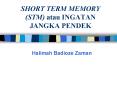 SHORT TERM MEMORY STM atau INGATAN JANGKA PENDEK