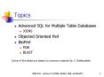 Advanced SQL for Multiple Table Databases