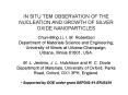 IN SITU TEM OBSERVATION OF THE NUCLEATION AND GROWTH OF SILVER