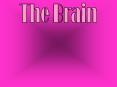 Brain Aneurysms