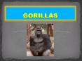 GORILLAS