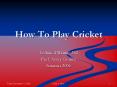 How To Play Cricket