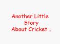 Another Little Story About Cricket
